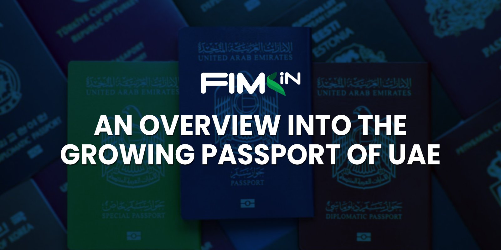 Read more about the article An Overview Into The Growing Passport of UAE